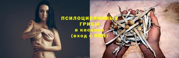 СК Краснотурьинск