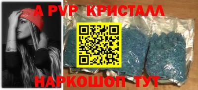 спиды Кингисепп