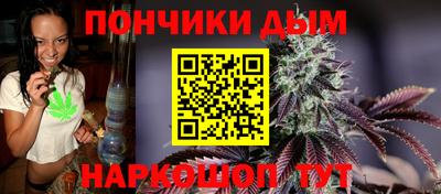 спиды Кингисепп