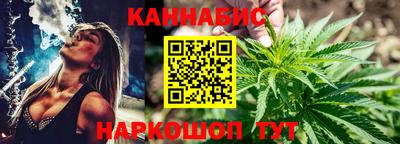 спиды Кингисепп