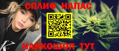 спиды Кингисепп