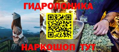 спиды Кингисепп