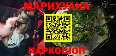 спиды Кингисепп