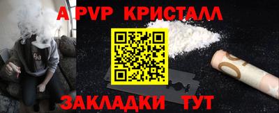 спиды Кингисепп