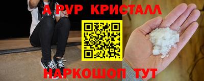 спиды Кингисепп