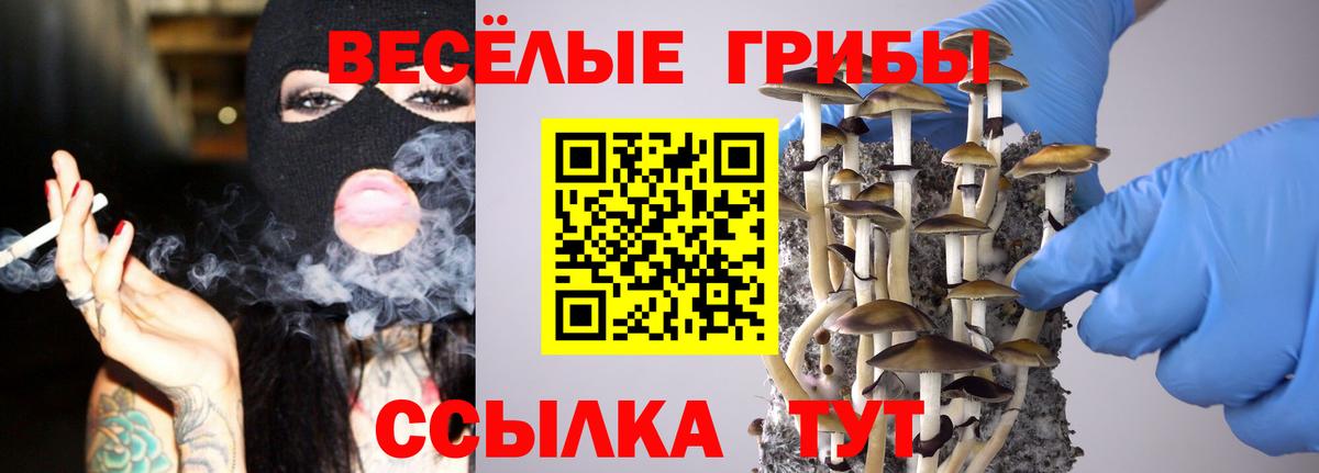 Малгобек  Псилоцибиновые грибы GOLDEN TEACHER  Галлюциногенные грибы MAGIC MUSHROOMS  Вход с VPN 