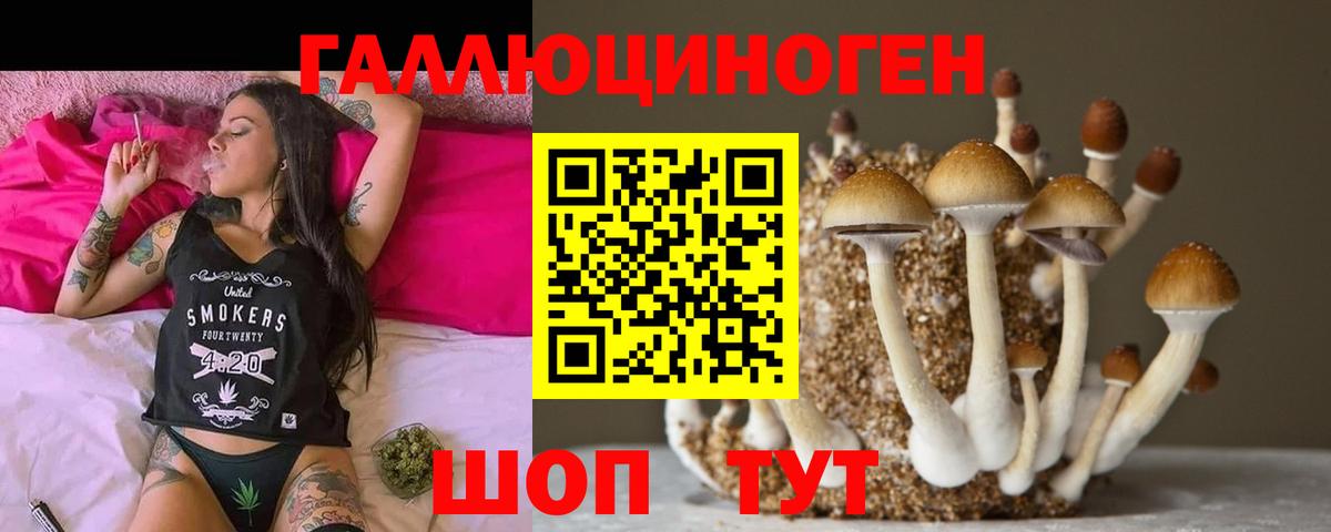 Галлюциногенные грибы Magic Shrooms Малгобек